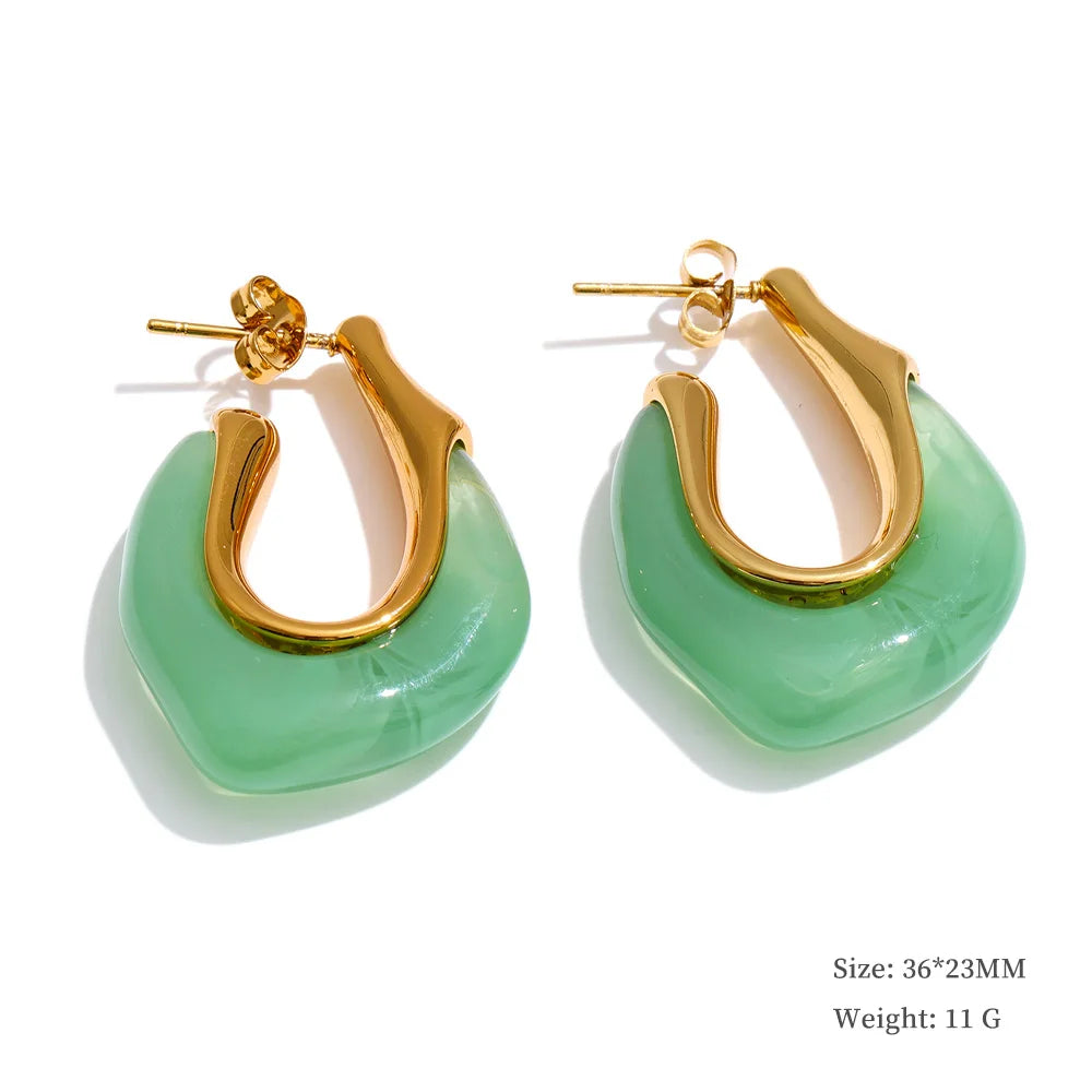 Resin and gold earrings