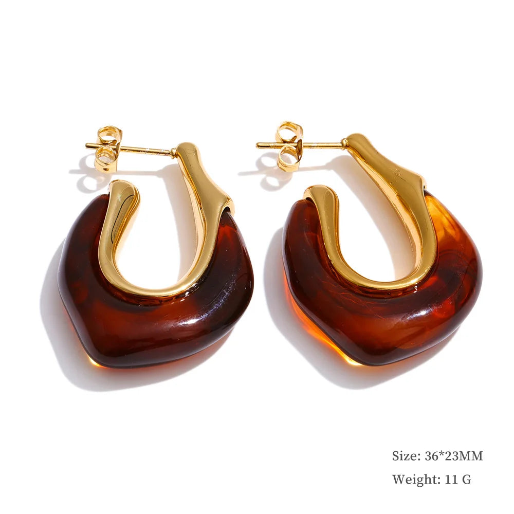 Resin and gold earrings