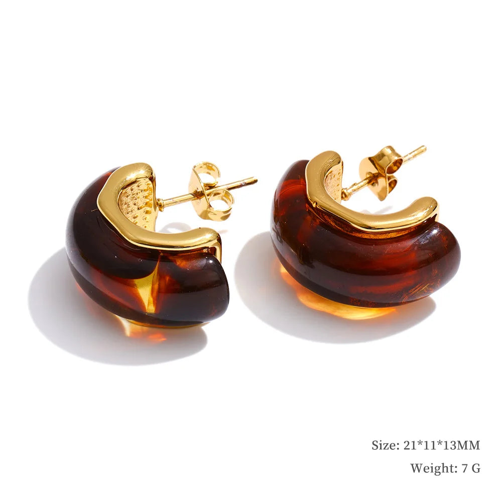 Resin and gold earrings