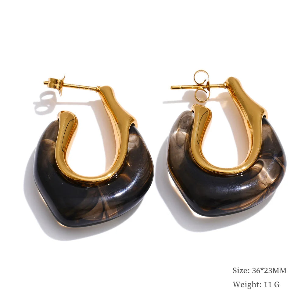 Resin and gold earrings