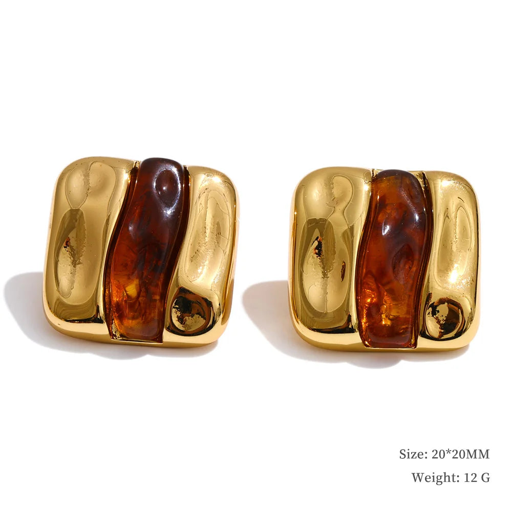 Resin and gold earrings